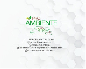 PRO AMBIENTE SAS